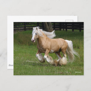 Bob Langrish   Palomino Gypsy Vanner Paard in bedr Briefkaart