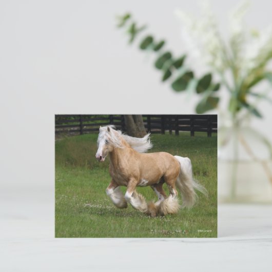Bob Langrish | Palomino Gypsy Vanner Paard in bedr Briefkaart (Staand voorkant)