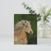 Bob Langrish | Palomino Haflinger Headshot Briefkaart (Staand voorkant)