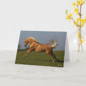 Bob Langrish | Palomino Lusitano Stallion Leaping Kaart (Gele Bloem)