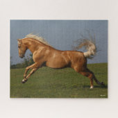 Bob Langrish | Palomino Lusitano Stallion Leaping Legpuzzel (Horizontaal)