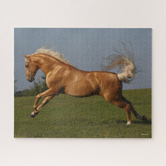 Bob Langrish | Palomino Lusitano Stallion Leaping Legpuzzel (Horizontaal)