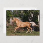 Bob Langrish | Palomino Lusitano Stallion Running Briefkaart (Voorkant / Achterkant)