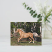 Bob Langrish | Palomino Lusitano Stallion Running Briefkaart (Staand voorkant)