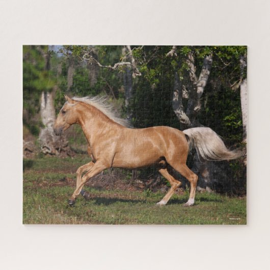 Bob Langrish | Palomino Lusitano Stallion Running Legpuzzel (Horizontaal)