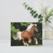 Bob Langrish | Palomino Miniatuur Pony Briefkaart (Staand voorkant)
