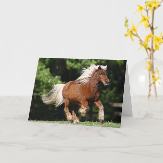 Bob Langrish | Palomino Miniatuur Pony Kaart (Gele Bloem)