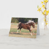 Bob Langrish | Palomino Morgan Horse Bucking Kaart (Gele Bloem)