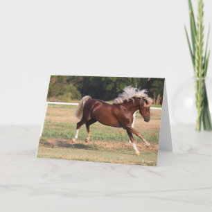 Bob Langrish Palomino Morgan Horse Bucking Kaart