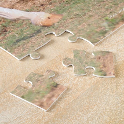 Bob Langrish | Palomino Morgan Horse Bucking Legpuzzel (Zijkant)