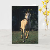 Bob Langrish | Palomino-paarden met achtergrondver Kaart (Gele Bloem)