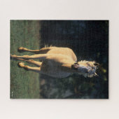 Bob Langrish | Palomino-paarden met achtergrondver Legpuzzel (Horizontaal)