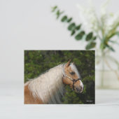 Bob Langrish | Palomino Quarter Horse Headshot Briefkaart (Staand voorkant)