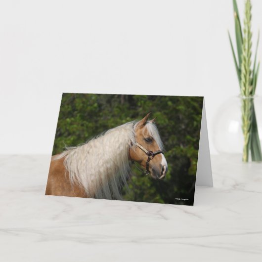 Bob Langrish | Palomino Quarter Horse Headshot Kaart (Voorkant)