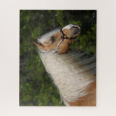 Bob Langrish | Palomino Quarter Horse Headshot Legpuzzel (Verticaal)