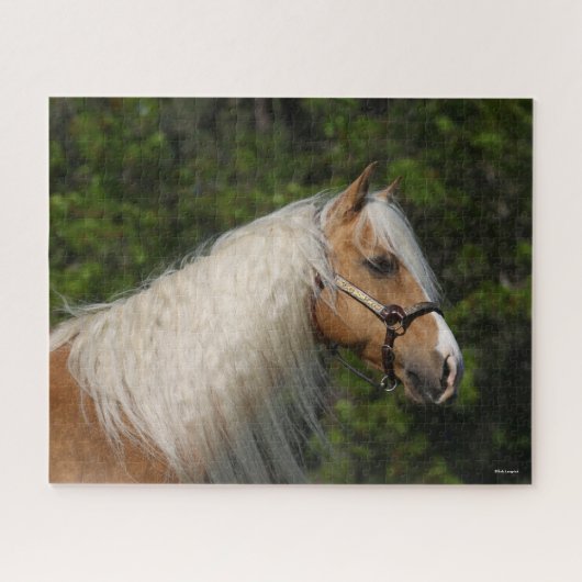Bob Langrish | Palomino Quarter Horse Headshot Legpuzzel (Horizontaal)