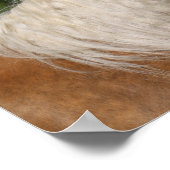 Bob Langrish | Palomino Quarter Horse Headshot Poster (Hoek)