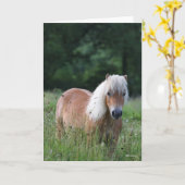 Bob Langrish | Palomino Shetland in gras Kaart (Gele Bloem)