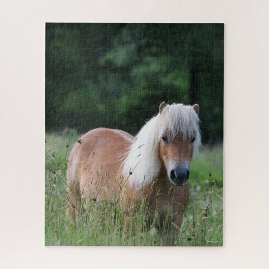 Bob Langrish | Palomino Shetland in gras Legpuzzel (Verticaal)