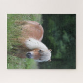 Bob Langrish | Palomino Shetland in gras Legpuzzel (Horizontaal)