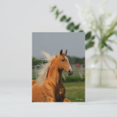 Bob Langrish | Palomino Tennesee Walker Headshot Briefkaart (Staand voorkant)