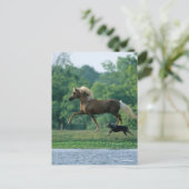 Bob Langrish | Palomino Tennessee Walker en Dog Briefkaart (Staand voorkant)