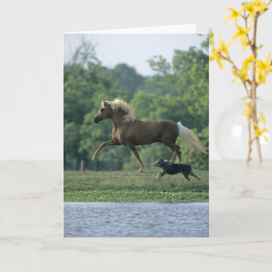 Bob Langrish | Palomino Tennessee Walker en Dog Kaart (Gele Bloem)