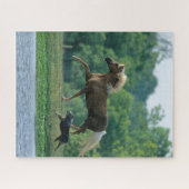 Bob Langrish | Palomino Tennessee Walker en Dog Legpuzzel (Horizontaal)