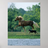 Bob Langrish | Palomino Tennessee Walker en Dog Poster (Voorkant)