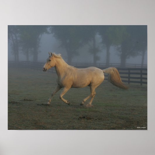Bob Langrish | Palomino Tennessee Walker in Mist Poster (Voorkant)