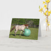 Bob Langrish | Paso Fino-paarden met een kogel Kaart (Gele Bloem)