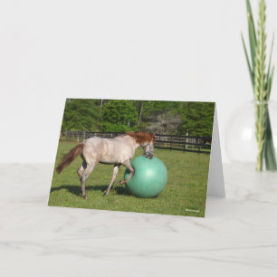 Bob Langrish Paso Fino-paarden met een kogel Kaart