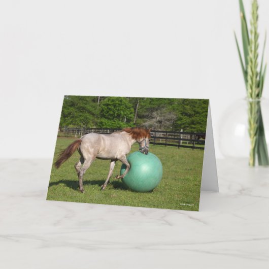 Bob Langrish | Paso Fino-paarden met een kogel Kaart (Voorkant)