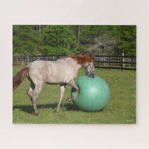 Bob Langrish   Paso Fino-paarden met een kogel Legpuzzel