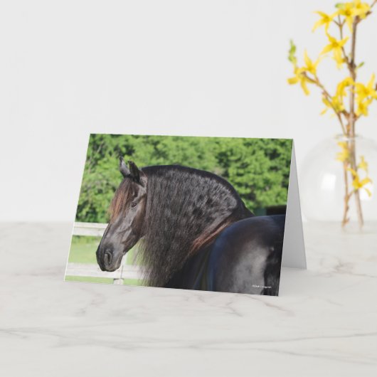 Bob Langrish | Permanent schot voor Friesian Horse Kaart (Gele Bloem)