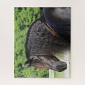 Bob Langrish | Permanent schot voor Friesian Horse Legpuzzel (Verticaal)