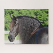 Bob Langrish | Permanent schot voor Friesian Horse Legpuzzel (Horizontaal)