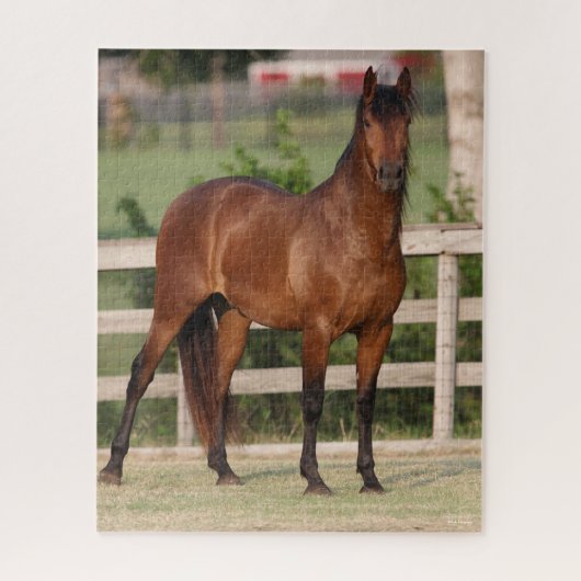 Bob Langrish | Permanente Bay Andalucian Legpuzzel (Verticaal)