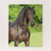 Bob Langrish | Permanente kop van Friesian Horse Legpuzzel (Verticaal)