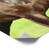 Bob Langrish | Permanente kop van Friesian Horse Poster (Hoek)