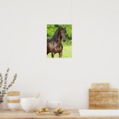 Bob Langrish | Permanente kop van Friesian Horse Poster (Keuken)