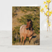 Bob Langrish | Permanente mosterangpaarden Kaart (Gele Bloem)