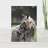 Bob Langrish | Permanente titel Appaloosa Kaart (Voorkant)