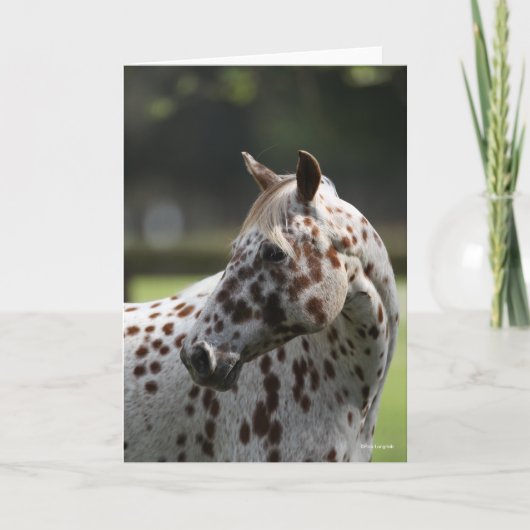Bob Langrish | Permanente titel Appaloosa Kaart (Voorkant)