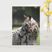 Bob Langrish | Permanente titel Appaloosa Kaart (Gele Bloem)