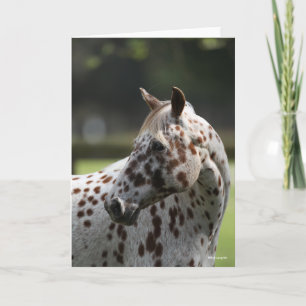 Bob Langrish   Permanente titel Appaloosa Kaart