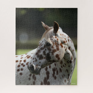 Bob Langrish   Permanente titel Appaloosa Legpuzzel