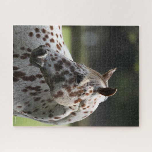 Bob Langrish | Permanente titel Appaloosa Legpuzzel (Horizontaal)
