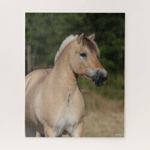 Bob Langrish   Permanente titel Fjord-paarden Legpuzzel
