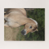 Bob Langrish | Permanente titel Fjord-paarden Legpuzzel (Horizontaal)